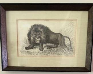 Vintage original wood engraving of lion.