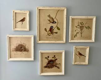 Framed Botanicals
