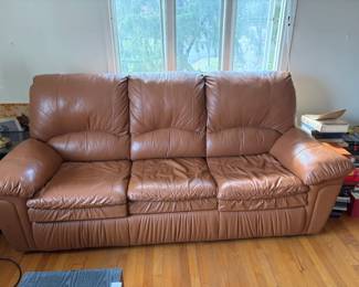 Leather Sleeper Sofa