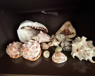 Shells 