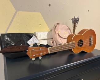 Vintage purses and ukulele