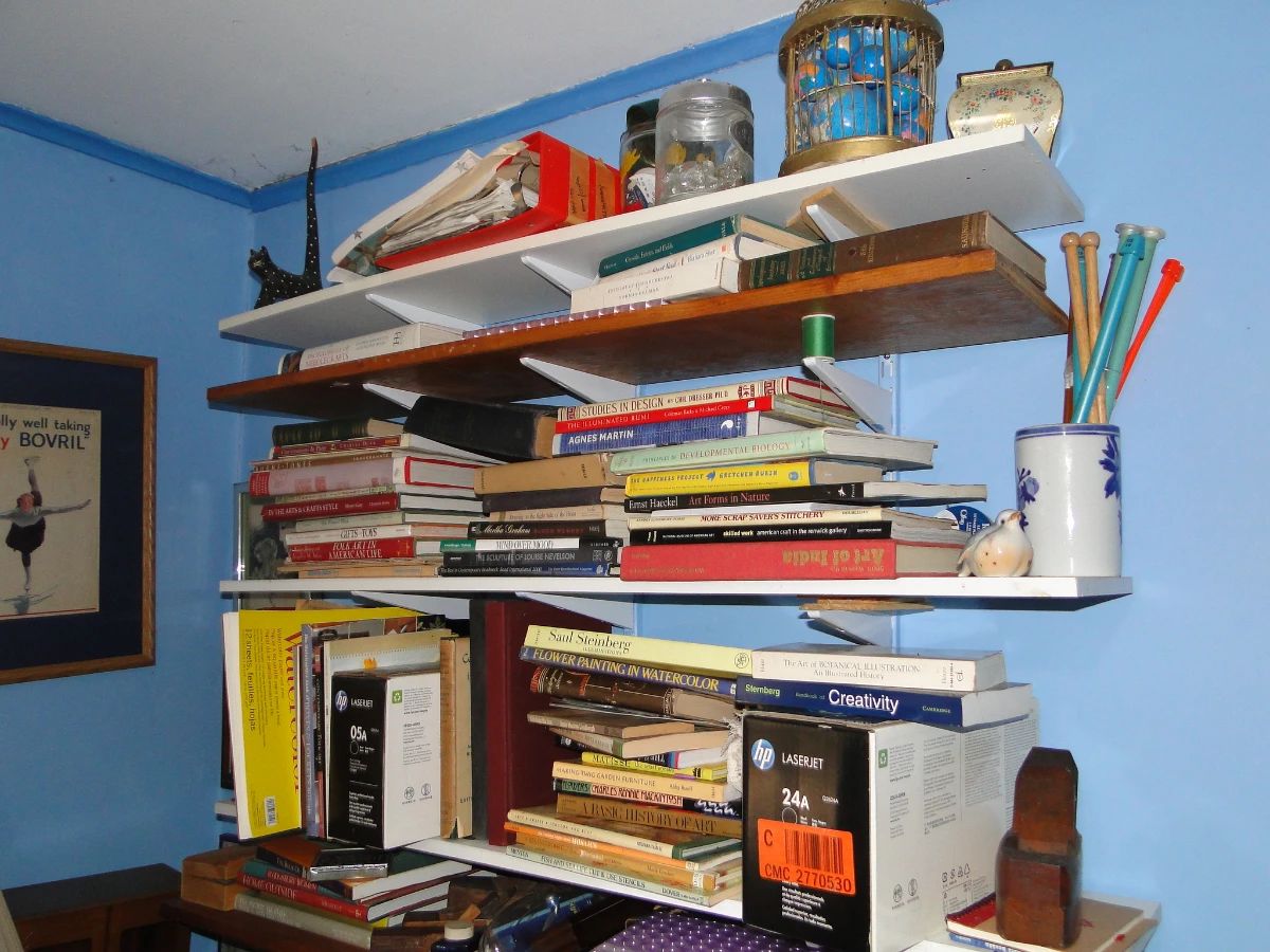 Tons of books and bric a brac