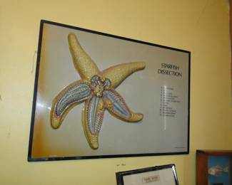 Starfish artwork raised ceramic art