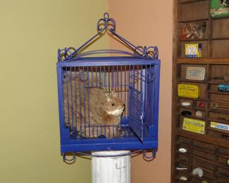 Squirrel in cage