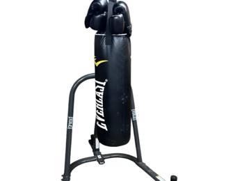 Everlast Heavy Bag and Stand, Two Pair Kickboxing Gloves