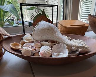 Large Conch Shell and Assorted Seashells in Wooden Bowl