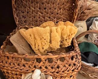 Woven Hyacinth Basket with Natural Sea Sponges and Shell Embellishments