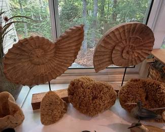 Carved Ammonite Fossils