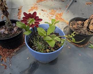 Rustic Tree Silhouette Metal Wall Art