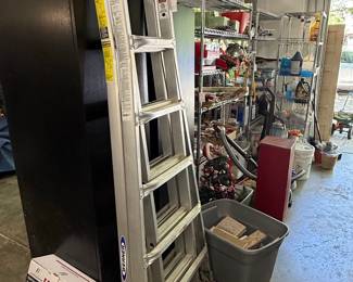 Werner Multi-Position Ladder