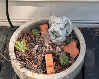 Gargoyle Planter with Succulents
