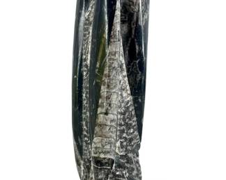 Polished Orthoceras Fossil Decor