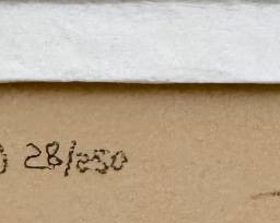 detail