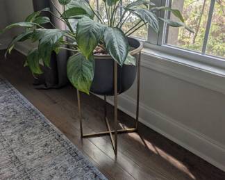 Potted plant with metal stand