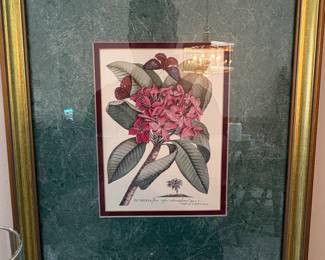 Set of Botanical and Butterfly Prints after PierreJoseph Redout fourth image