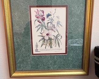 Set of Botanical and Butterfly Prints after PierreJoseph Redout