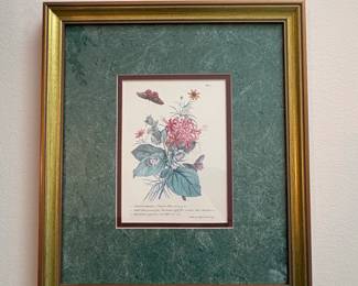 Set of Botanical and Butterfly Prints after PierreJoseph Redout third image