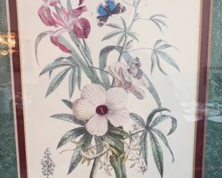 Set of Botanical and Butterfly Prints after PierreJoseph Redout second image