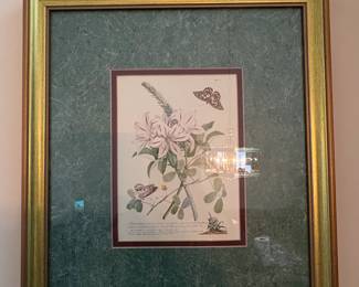 Set of Botanical and Butterfly Prints after PierreJoseph Redout fifth image