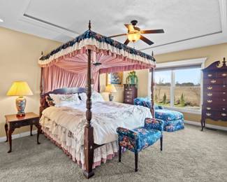 Master bedroom furniture & decorations