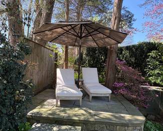 Teak lounge chairs/chaise with umbrella 