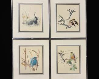 Four Framed Mads Stage Bird Prints