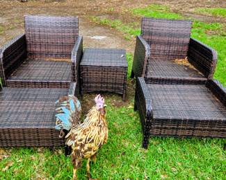 Patio Chairs, Ottomans, and table
