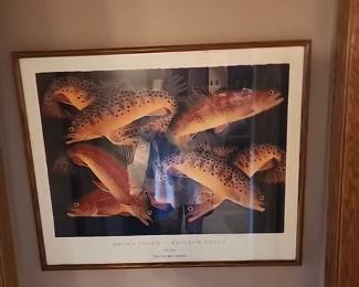 Brown Trout *Rainbow Trout print, framed by Judy Haas