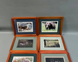 Lot 50: A Group of Six Real Animal Photos