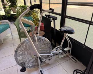 #106-$100-schwinn airdyne bike 