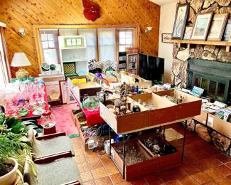 Just About Everything Thinkable Is In The Sun Room (Plant Not Incl)