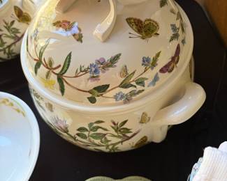 Portmeirion botanical garden