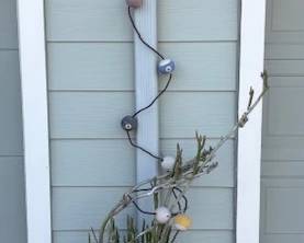 Plant with pool ball art