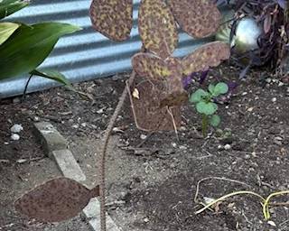 Metal flower stake with hummingbird