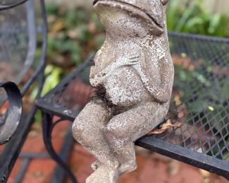 Garden frog