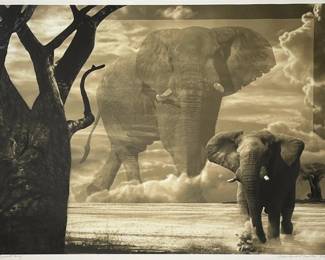 SUDDEN SQUALL AT NXAI PAN (SOUTHERN AFRICAN, CONTEMPORARY) SEPIA PHOTOGRAPH