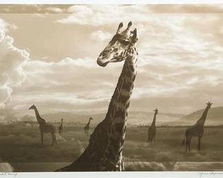 ELIZABETH B. HENRY "AFRICAN SKYSCRAPER" SEPIA PHOTOGRAPH, 2/50