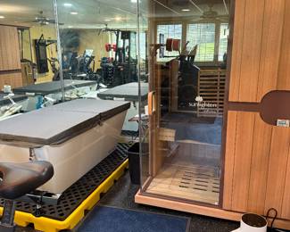 Sunlighten Two person sauna and cold plunge