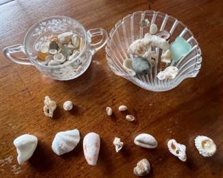 082ShellsGlass