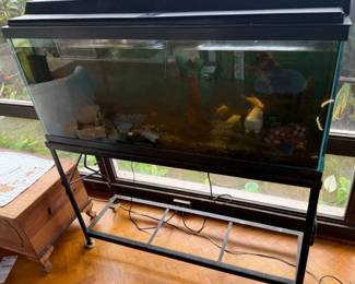 005FishTank