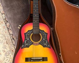 Guitar in guitar case
