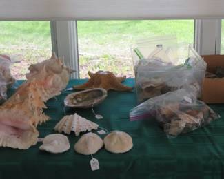 Shells and polished rocks.