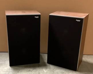 Panasonic Thrusters Speakers