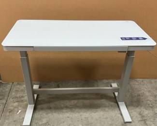 Twin Star Adjustable Height Desk