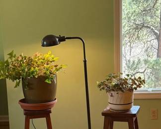 Floor Lamp, Two House Plants  More
