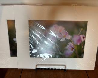 Photographic Artwork