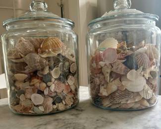 Many shells - these in apothecary jars