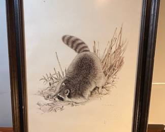 M. G. Lontos Raccoon Print