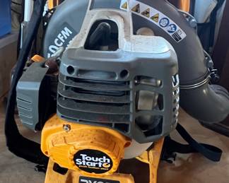 Ryobi 2-Cycle Gas Backpack Blower
