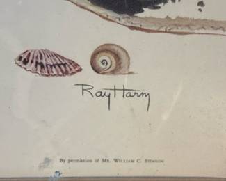 Ray Harm "Little Blue Heron" Print